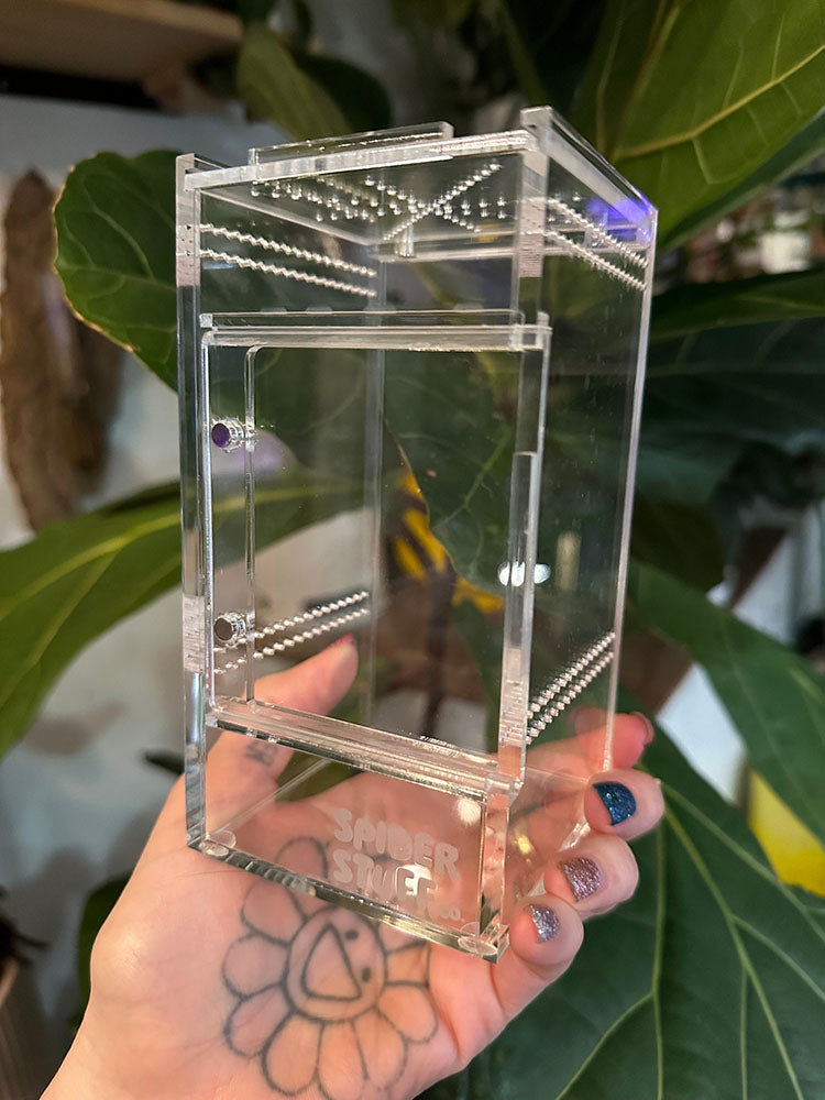 Custom Clear Acrylic Spider Pet Box Stackable Reptile Tarantula Feeding Breeding Container