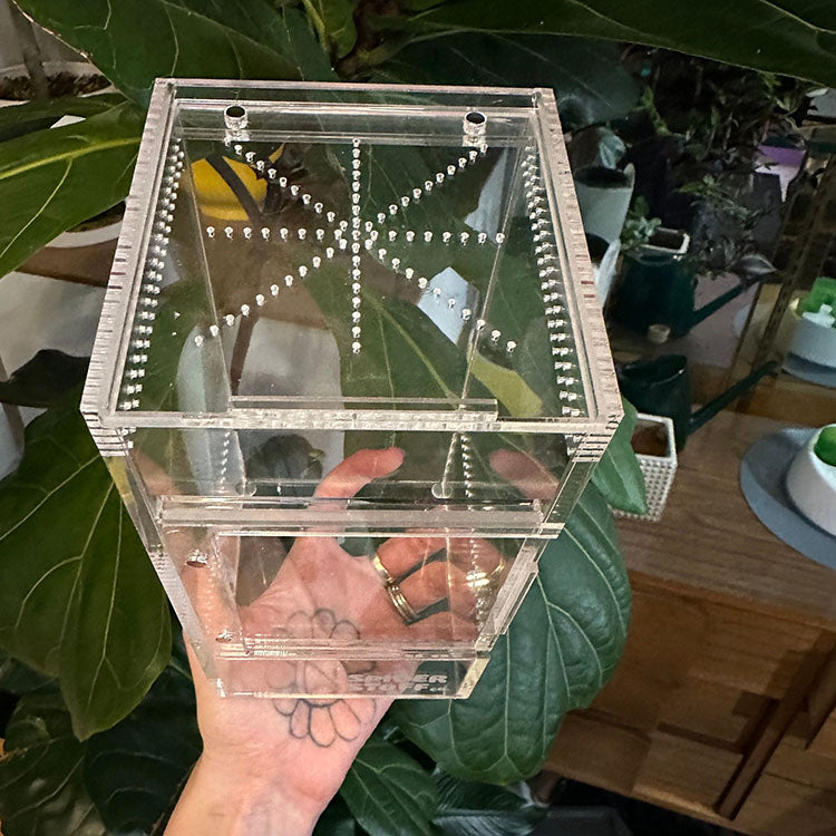 Custom Clear Acrylic Spider Pet Box Stackable Reptile Tarantula Feeding Breeding Container
